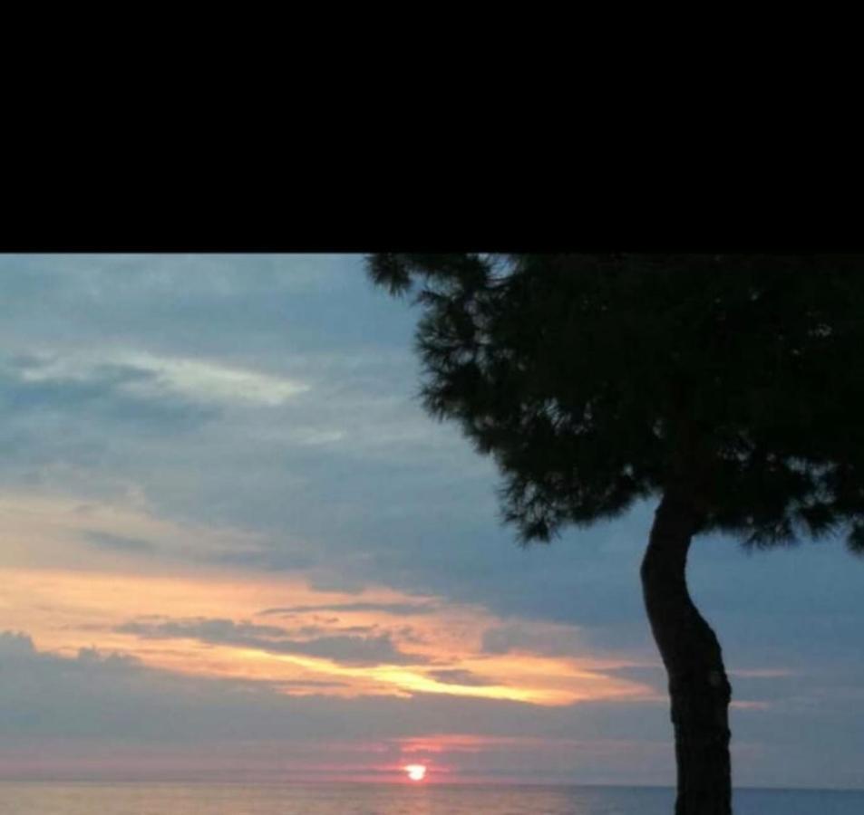 La Casa Al Mare Corallo * Montegiordano